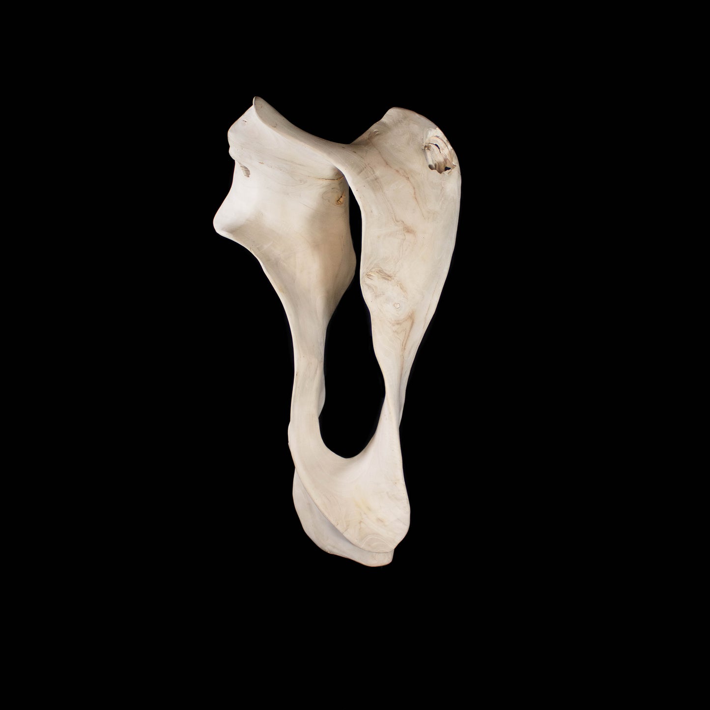 Jacaranda Wood Sculpture