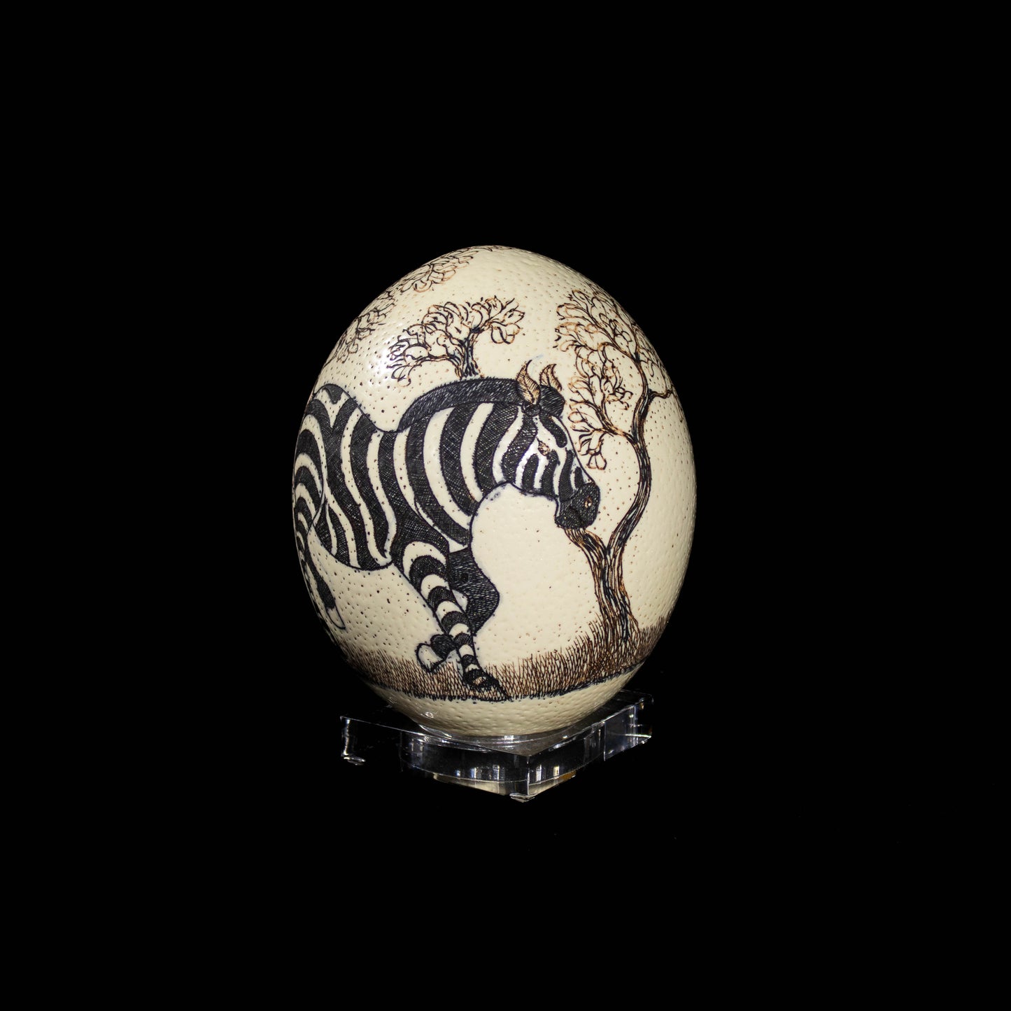 Scrimshaw Ostrich Egg