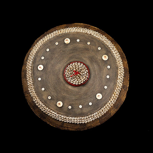 Wooden Ceremonial Shield from Cameroon NO PRICE