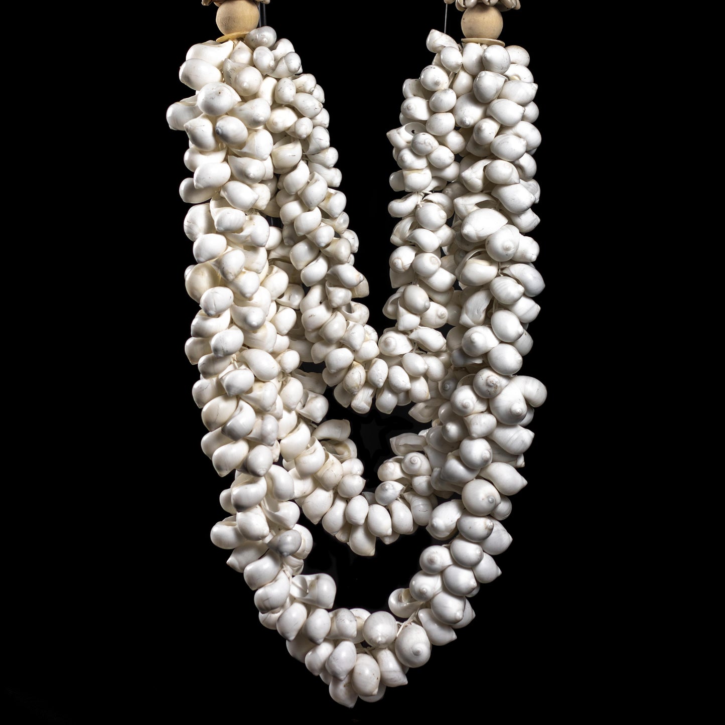Shell Necklace