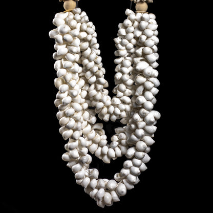 Shell Necklace