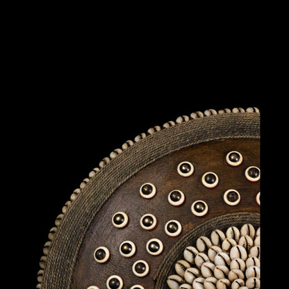 Ceremonial Shield Cameroon