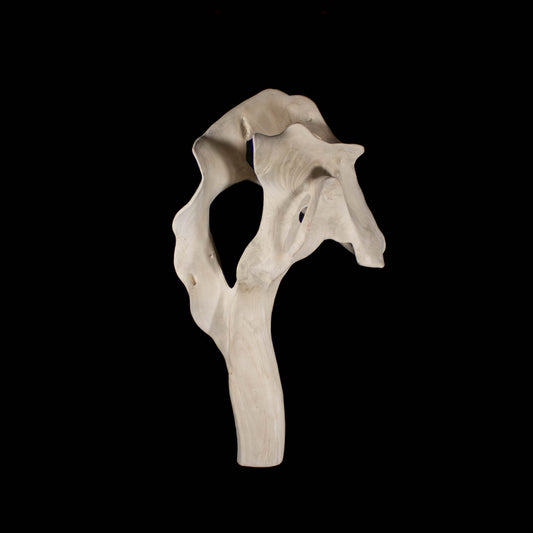 Jacaranda Wood Sculpture