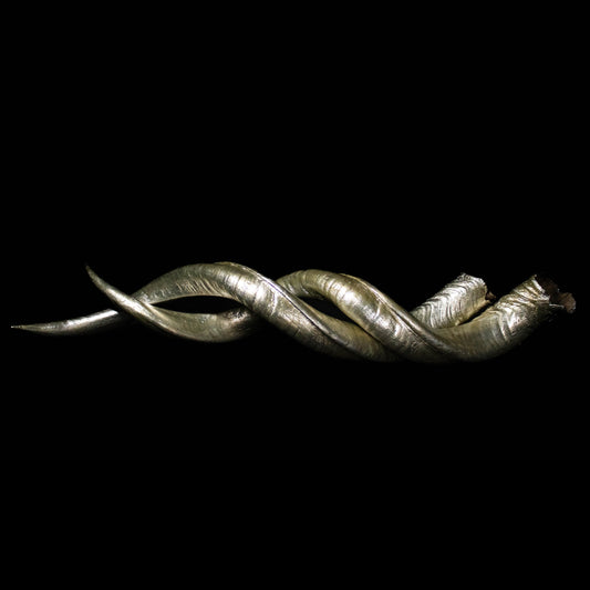 Kudu Horn adorned with silver leaf