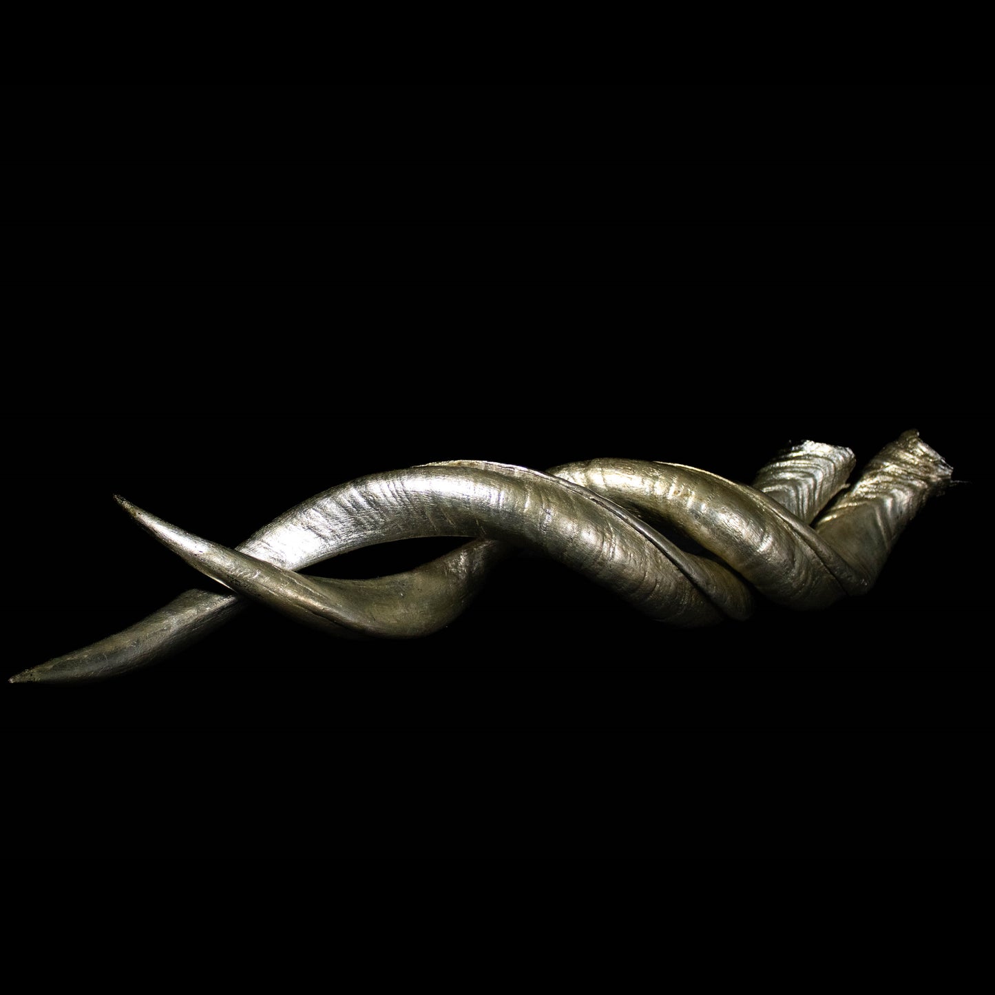 Kudu Horn adorned with silver leaf