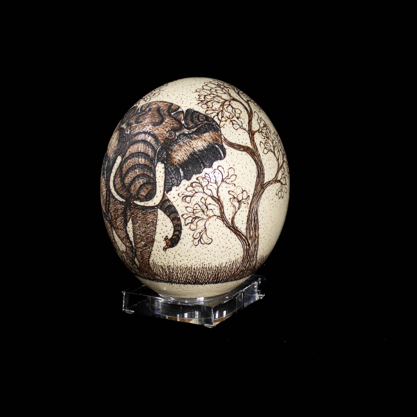 Scrimshaw Ostrich Egg